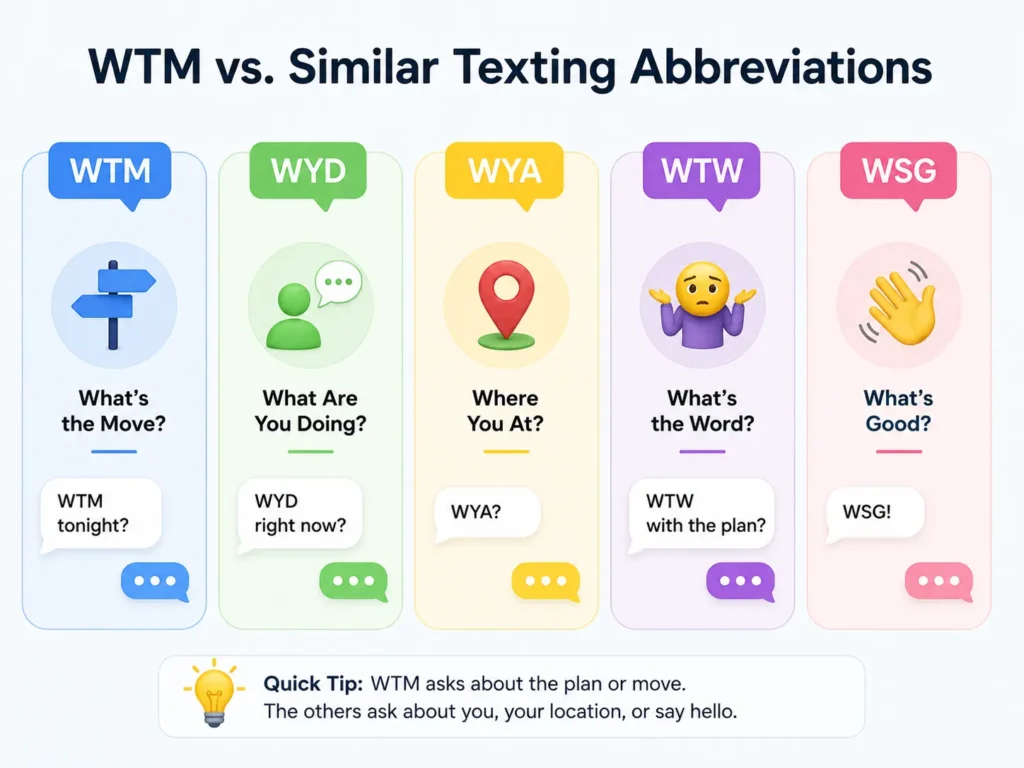 WTM vs similar texting abbreviations showing WTM, WYD, WYA, WTW, and WSG with their meanings and simple chat examples.