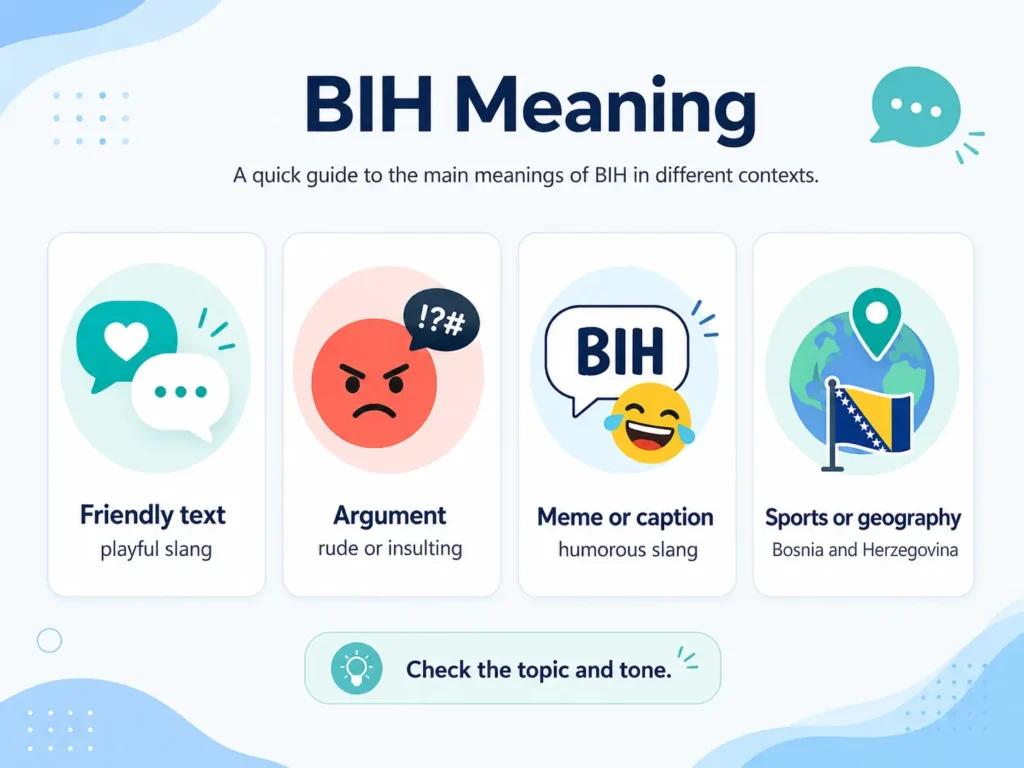 BIH Meaning infographic showing four context-based meanings: playful slang in friendly texts, an insult during arguments, humorous slang in memes or captions, and Bosnia and Herzegovina in sports or geography.