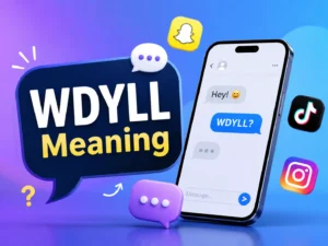 WDYLL meaning explained for texting, Snapchat, TikTok, and social media conversations
