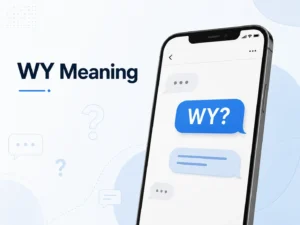 Professional WY meaning featured image showing a smartphone chat screen with a “WY?” message bubble and communication icons.